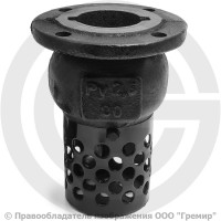 Клапан обратный осевой приемный с сеткой чугунный фланцевый Ду-80 Ру-2,5 (Т<50°С) 16ч42р Луидор