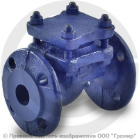 Клапан обратный подъемный чугунный фланцевый Ду-40 Ру-25 (Т<300°С) 16кч9нж Луидор
