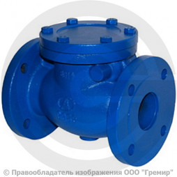 Клапан обратный поворотный чугунный фланцевый Ду-50 RD30 АДЛ Гранлок