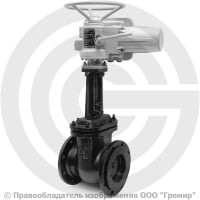Задвижка чугунная фланцевая Ду-150 Ру-10/16 (Т<225°С) 30ч906бр ЛМЗ с электроприводом ГЗ-А.100/24 (380 В)