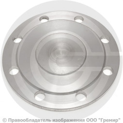 Заглушка фланцевая 1-100-6,3-Ст.20 ГОСТ 34785-21