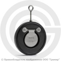 Клапан обратный одностворчатый стальной межфланцевый Ду-65 Ру-16 (Т<110°С) диск нерж Benarmo