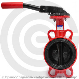 Затвор дисковый поворотный межфланцевый Ду-125 Ру-16 EPDM HT с чугунным диском АДЛ Гранвэл ЗПТС-FL(W)-MN-HT