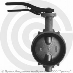 Затвор дисковый поворотный межфланцевый Ду-80 Ру-16 с чугунным диском Giacomini R59W