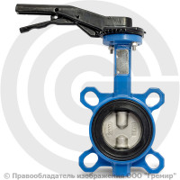 Затвор дисковый поворотный межфланцевый Ду-50 Ру-16 EPDM с нержавеющим диском Tecofi VPI4449-02EP