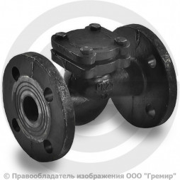 Клапан обратный подъемный чугунный фланцевый Ду-65 Ру-25 (Т<200°С) 16кч9нж